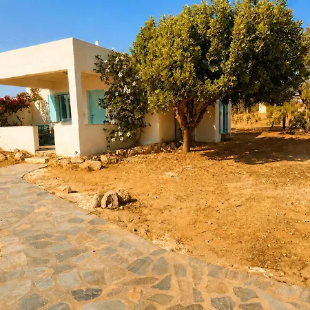 Paris Sunset And Olive Hideway Tatil Evi *
